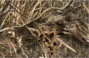 Mossy Oak Shadow Grass Habitat